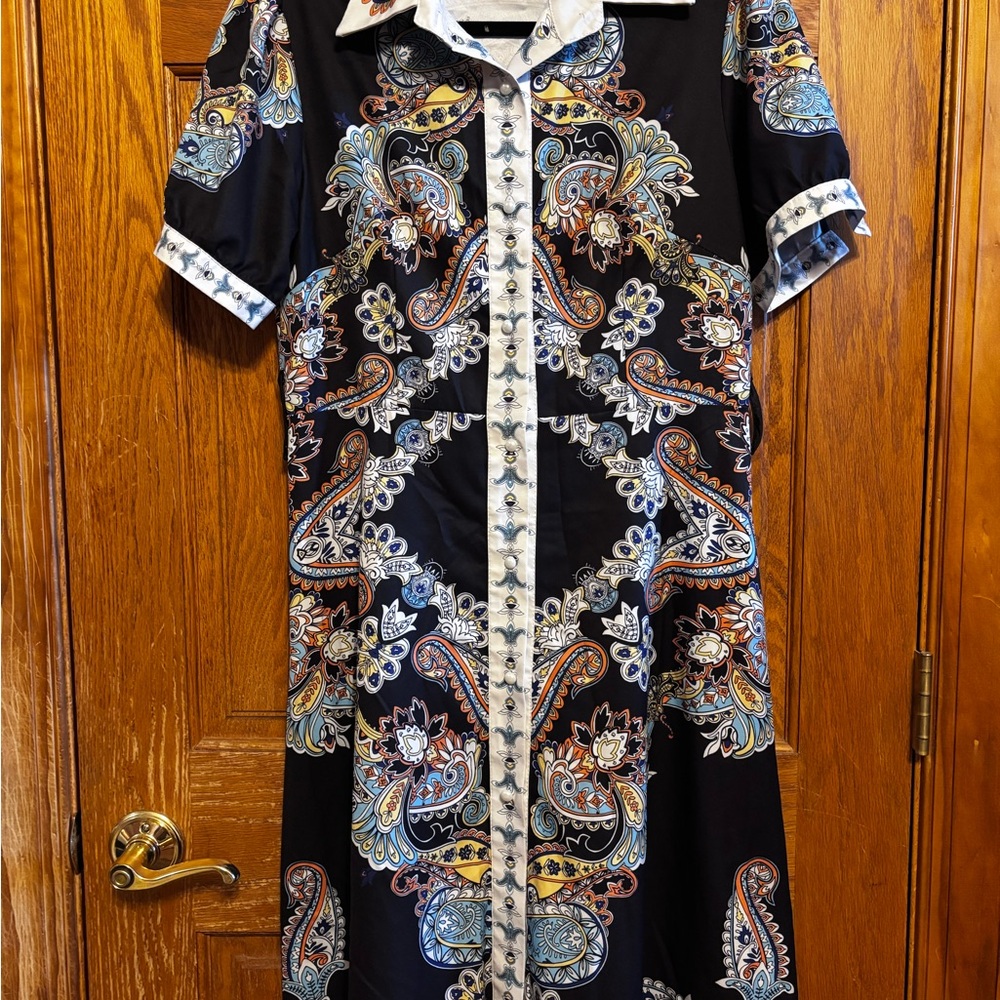 Black Paisley Button-Front Dress with Blue & Rust Accents